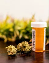 Medical Marijuana Market by Application and Geography - Forecast and Analysis 2021-2025