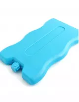 Disposable Icepacks Market in North America by Product, Application, and Geography - Forecast and Analysis 2021-2025