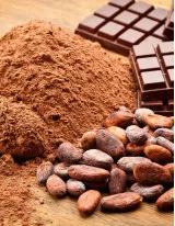 Organic Chocolate Market by Type and Geography Forecast and Analysis 2022-2026