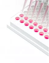 Cell Viability Assays Market by Product and Geography - Forecast and Analysis 2020-2024