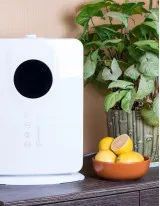 Air Purifier Market Growth, Size, Trends, Analysis Report by Type, Application, Region and Segment Forecast 2022-2026