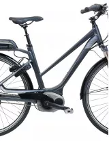 E-Bike Market Growth, Size, Trends, Analysis Report by Type, Application, Region and Segment Forecast 2021-2025