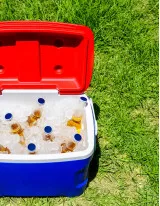 Portable Coolers Market Growth, Size, Trends, Analysis Report by Type, Application, Region and Segment Forecast 2020-2024