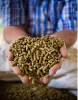 Global Animal Feed Vitamin Market by Application and Geography - Forecast and Analysis 2022-2026