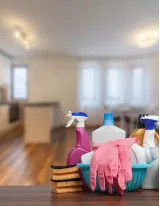 Household Cleaning Products Market Growth, Size, Trends, Analysis Report by Type, Application, Region and Segment Forecast 2021-2025