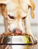 Pet Food Market Growth, Size, Trends, Analysis Report by Type, Application, Region and Segment Forecast 2022-2026