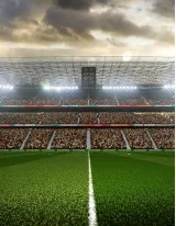 Smart Stadium Market by Software, Deployment, and Geography - Forecast and Analysis 2021-2025