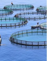 Global Aquaculture Market by by Product, Environment, Culture, and Geography - Forecast and Analysis 2022-2026