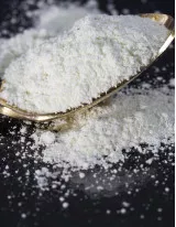 Potassium Nitrate Market by End-user and Geography - Forecast and Analysis 2021-2025