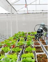 Artificial Intelligence Market in Agriculture Industry by Application and Geography - Forecast and Analysis 2021-2025