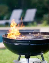 Residential Cooking Grills Market Growth, Size, Trends, Analysis Report by Type, Application, Region and Segment Forecast 2022-2026