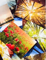Photo Printing and Merchandise Market Growth, Size, Trends, Analysis Report by Type, Application, Region and Segment Forecast 2021-2025