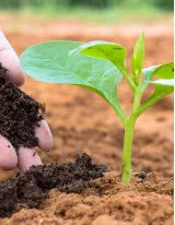 Fertilizer Additives Market by Type and Geography - Forecast and Analysis 2020-2024