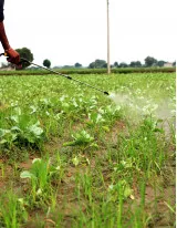 Agricultural Pesticides Market by Type, Product and Geography - Forecast and Analysis 2023-2027