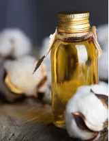 Cottonseed Oil Market by Product, Distribution Channel, and Geography - Forecast and Analysis 2021-2025