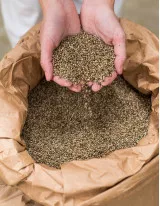 Industrial Hemp Market by Application and Geography - Forecast and Analysis 2021-2025