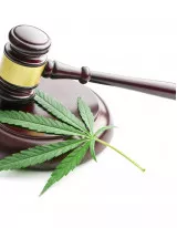 Legal Cannabis Market by Product and Geography - Forecast and Analysis 2021-2025
