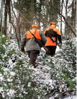 Hunting Apparel Market by Distribution Channel, Type and Geography - Forecast and Analysis 2023-2027