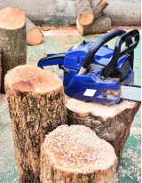 Chainsaw Market by Product, End-user, and Geography - Forecast Analysis 2021-2025