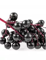 Elderberry Market by Application, Distribution Channel, and Geography - Forecast and Analysis 2021-2025