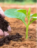 Organic Fertilizers Market by Application and Geography - Forecast and Analysis 2021-2025