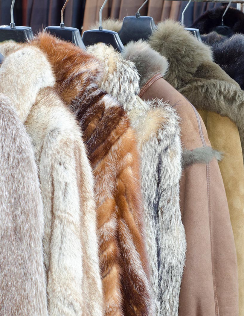 Artificial Fur Market Forecast 20212025, APAC will Dominate the Market