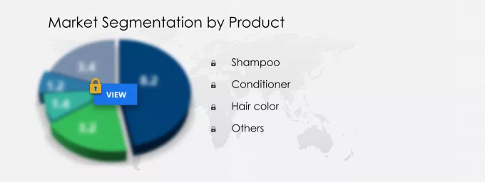 Hair Care Market Market segmentation by region