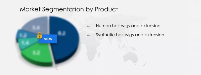 Hair Wigs and Extension Market Segmentation