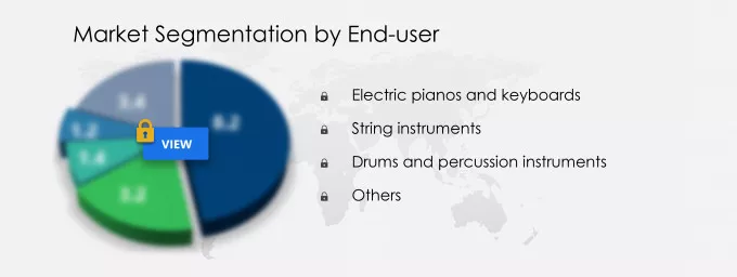 Electronic Musical Instruments Market Segmentation