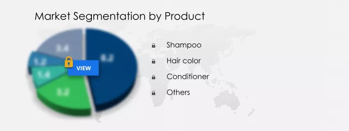 Hair Care Market Share